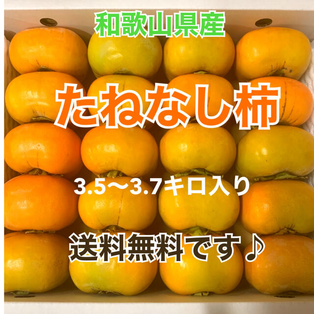 M12 和歌山県産　たねなし柿♪ ご家庭用　20個入り 食品/飲料/酒の食品(フルーツ)の商品写真