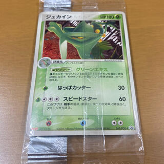 ポケモン(ポケモン)のジュカイン　ポケモン　カードゲーム　未開封　レア　非売品(カード)