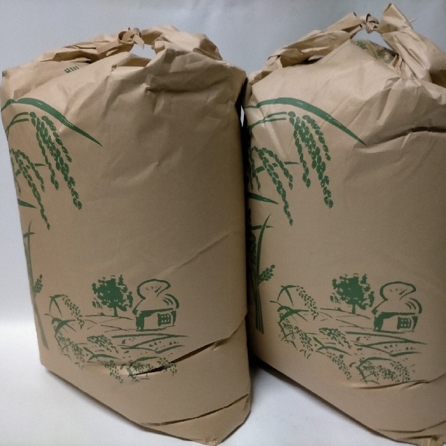 千葉印旛産令和3年産新米コシヒカリ30kg玄米2個　米/穀物