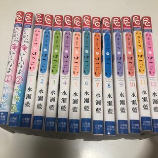 ショウガクカン(小学館)の【ハチミツにはつこい】のみ！！(少女漫画)