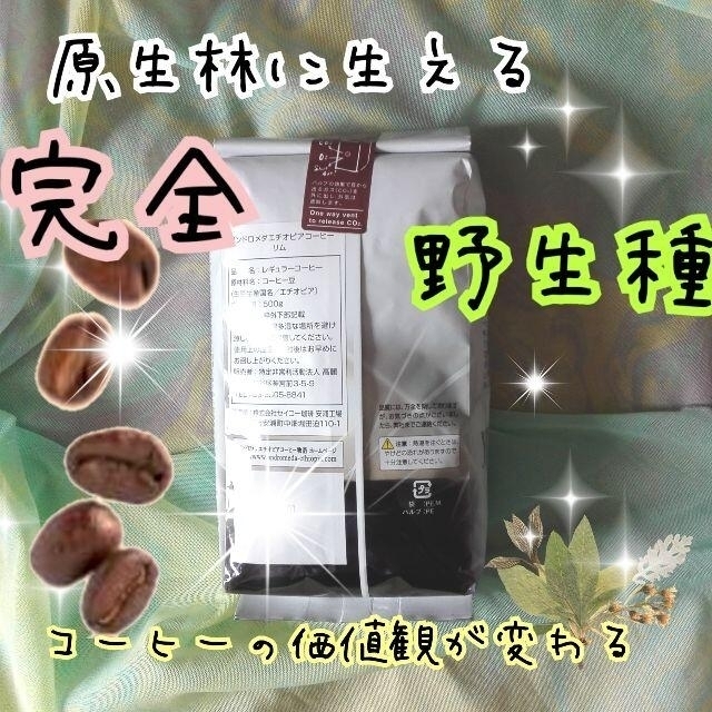 【豆500g】リム・アンドロメダエチオピアコーヒー【無農薬セミフォレスト】 食品/飲料/酒の飲料(コーヒー)の商品写真