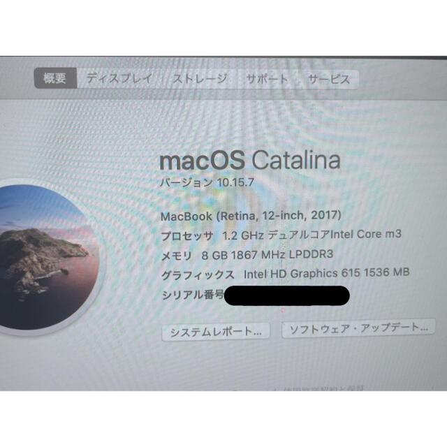 Mac (Apple)(マック)のMacBook 12インチ 2017版    ジャンク スマホ/家電/カメラのPC/タブレット(ノートPC)の商品写真