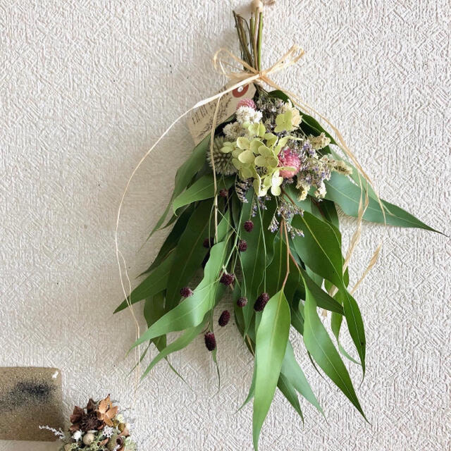 逸品】 ユーカリスワッグ ドライフラワー - woonivers.com