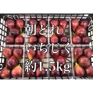 9.29⭐︎朝どれいちじく約1.5kg 16玉〜20玉　即日発送致します(フルーツ)