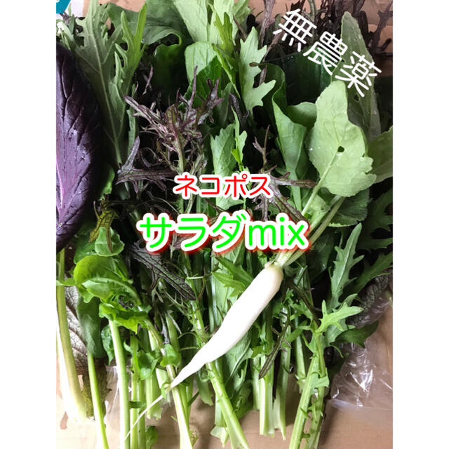 サラダmix ネコポス　野菜 食品/飲料/酒の食品(野菜)の商品写真