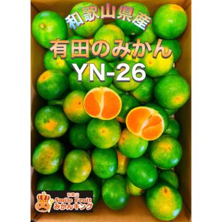 和歌山オリジナル品種　有田みかん　YN26 小粒みかん　送料込　みかんキング(フルーツ)