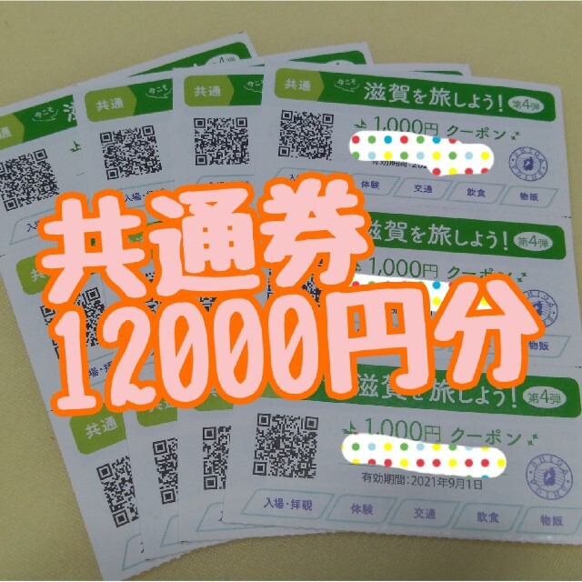 今こそ滋賀を旅しよう! 第4弾 滋賀旅クーポン 共通券限定券