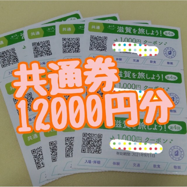 今こそ滋賀を旅しよう 第4弾 クーポン券 共通券12000円分-