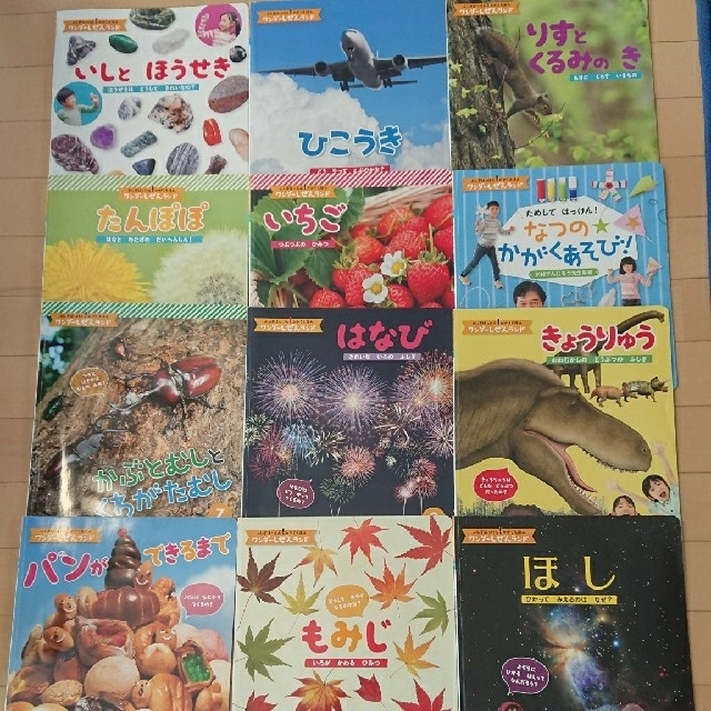 12冊セット ワンダーしぜんランド 絵本セット エンタメ/ホビーの本(絵本/児童書)の商品写真