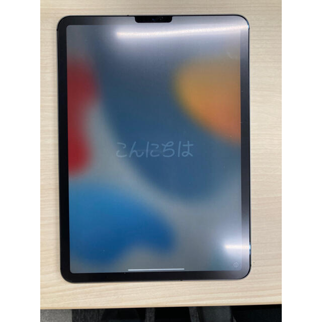 Apple iPad Pro (2018)11-inch 256GB【送料込】