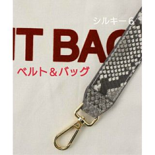 アパルトモンドゥーズィエムクラス(L'Appartement DEUXIEME CLASSE)のGOOD GRIEF Belt with It Bag  (トートバッグ)