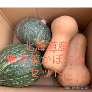 北海道産無農薬かぼちゃセット＋男爵(野菜)