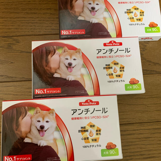 アンチノール犬用90粒3ケース