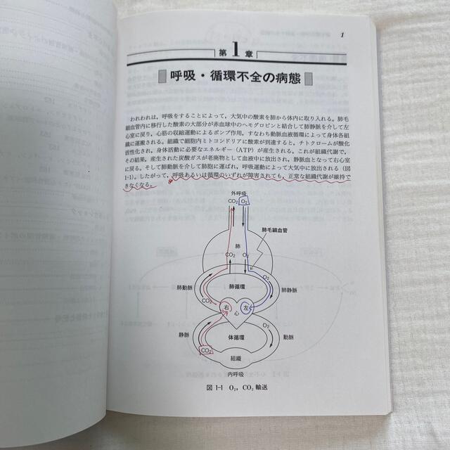 チ－ム医療のための呼吸循環管理マニュアル　人工呼吸器参考書　看護師　看護 エンタメ/ホビーの本(健康/医学)の商品写真