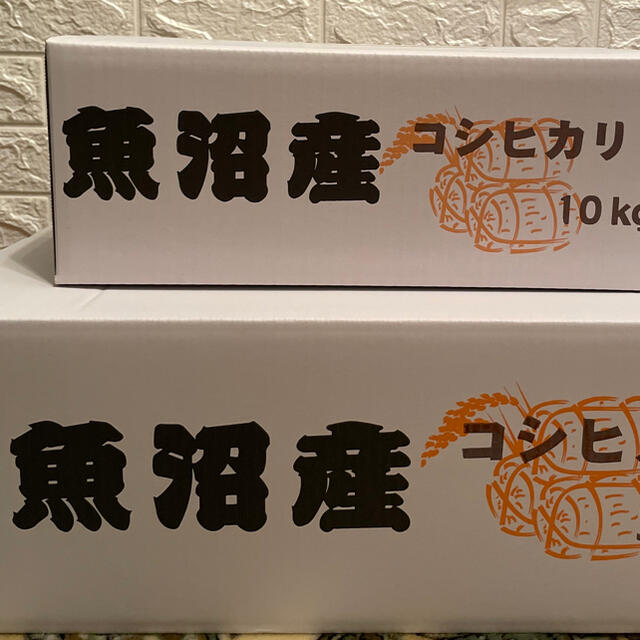 魚沼産コシヒカリ　令和2年 10キロ 食品/飲料/酒の食品(米/穀物)の商品写真