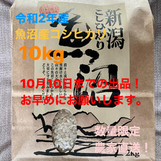 魚沼産コシヒカリ　令和2年 10キロ(米/穀物)