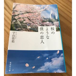 桜のような僕の恋人(文学/小説)