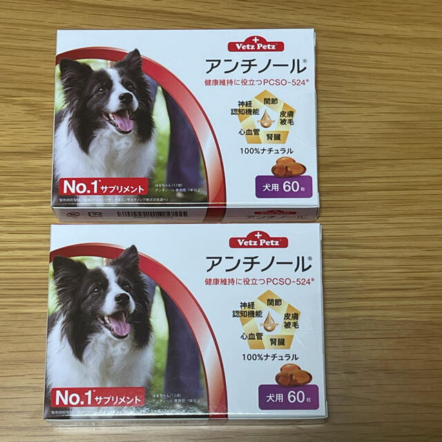 円高還元 犬用アンチノール 60粒　2箱 犬