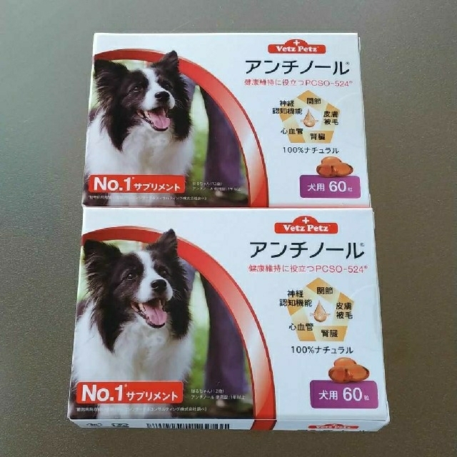 アンチノール  犬用  60粒×2箱
