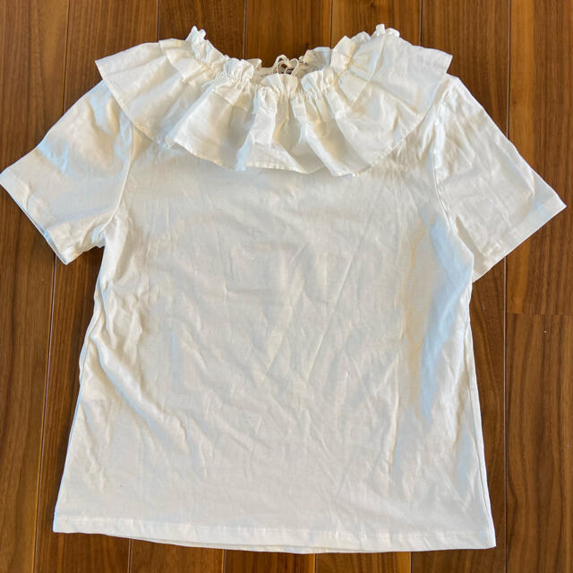 ZARA(ザラ)のZARA 2021年物　襟付きTシャツ レディースのトップス(Tシャツ(半袖/袖なし))の商品写真