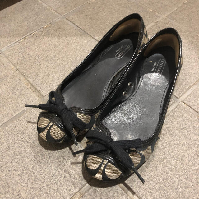 24cm【NEW限定品】 【美品】COACH コーチ シグネチャー 黒 フラット