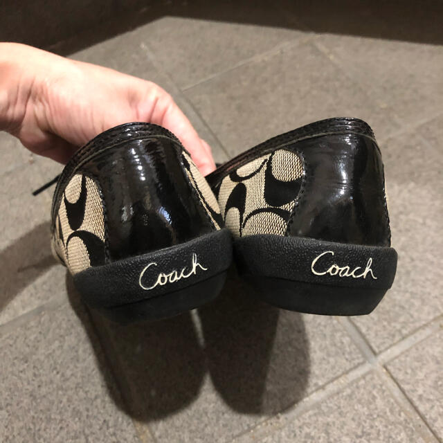 24cm【NEW限定品】 【美品】COACH コーチ シグネチャー 黒 フラット