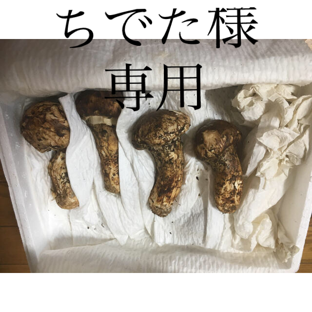 旬！松茸　2kg 箱売り