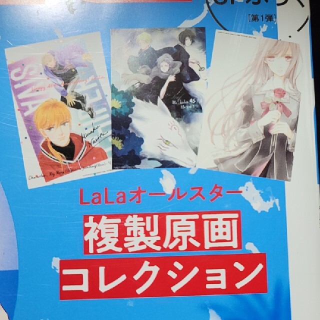 LaLa付録2枚セット その他のその他(その他)の商品写真