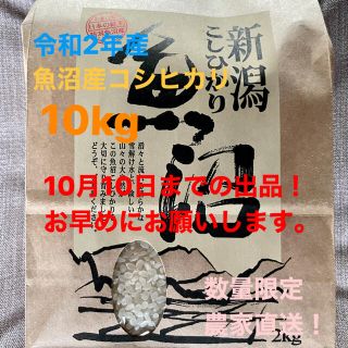 魚沼産コシヒカリ　令和2年 10キロ(米/穀物)