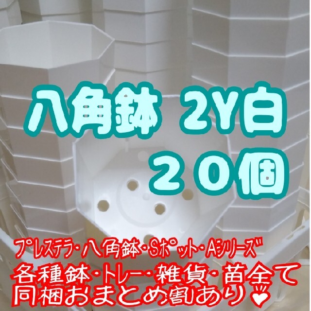 プラ八角鉢 カネヤ【2Y】20個 多肉植物 プレステラ ハンドメイドのフラワー/ガーデン(プランター)の商品写真