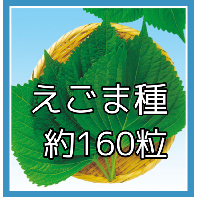 専用です｡ ハンドメイドのフラワー/ガーデン(プランター)の商品写真