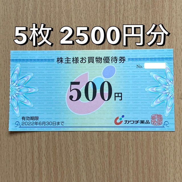 カワチ薬品 株主優待券 2500円分 www.vilakastel.rs