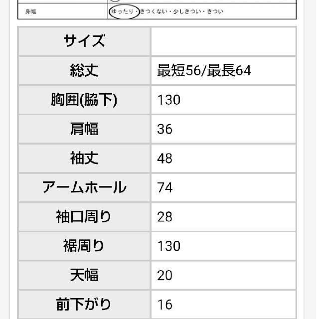 antiqua(アンティカ)の専用☆antiqua袖プリーツブラウス レディースのトップス(シャツ/ブラウス(長袖/七分))の商品写真