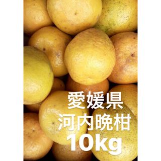 愛媛県　宇和ゴールド　河内晩柑　10kg(フルーツ)