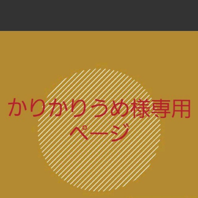 かりかりうめ様専用ページありがとうございました レディースの下着/アンダーウェア(ブラ&ショーツセット)の商品写真