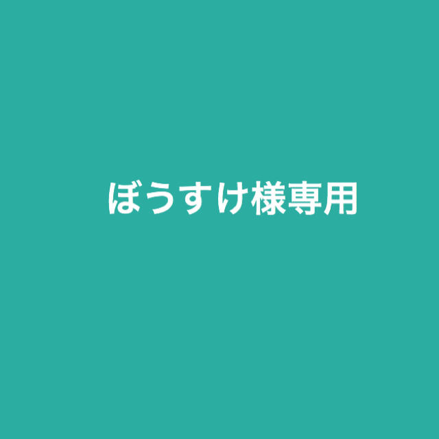 高価値 ぼうすけ様専用 その他 - hangarbaycafe.com