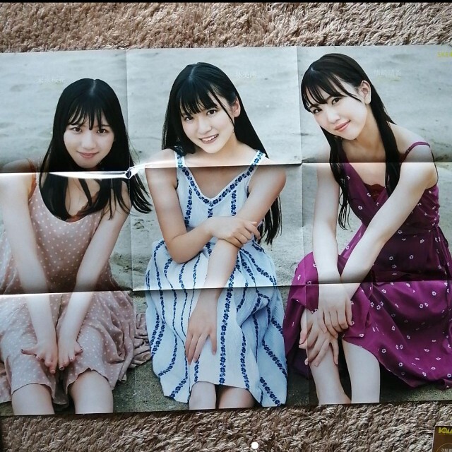 SKE48 特大両面ポスター 付録 エンタメ/ホビーのタレントグッズ(アイドルグッズ)の商品写真