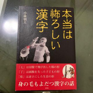 本当は怖ろしい漢字(語学/参考書)