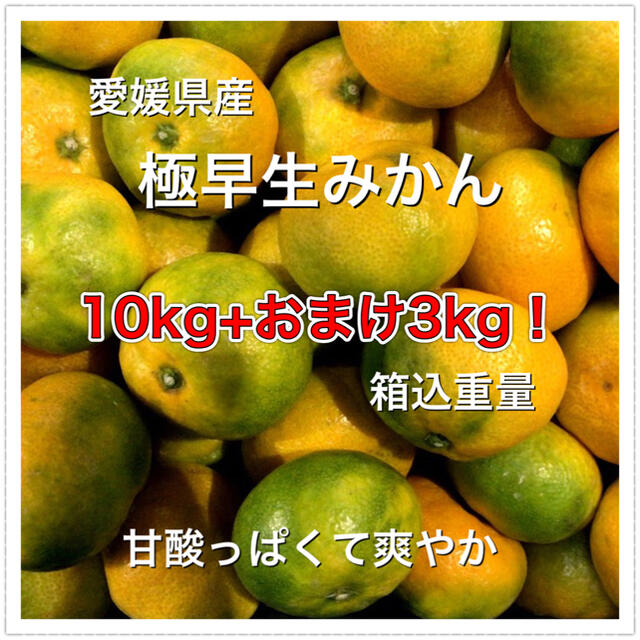 92904 愛媛県産 極早生みかん 10kg+おまけ3kg 訳あり 食品/飲料/酒の食品(フルーツ)の商品写真