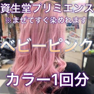 新品豊富な】 SHISEIDO (資生堂) - 資生堂プリミエンス ベージュ