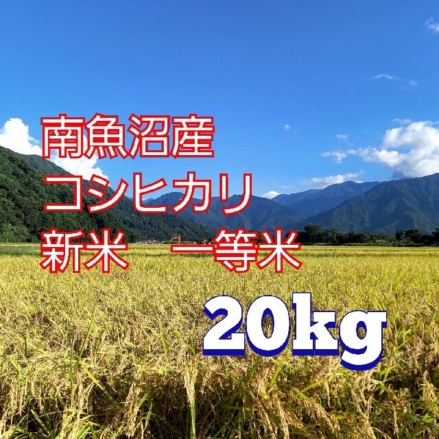 20kg　南魚沼産コシヒカリ　米/穀物