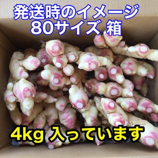 新生姜　箱込み4kg   減農薬栽培(野菜)