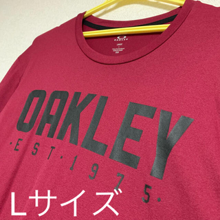 オークリー(Oakley)のOAKLEY ロング(長袖)Tシャツ(Tシャツ/カットソー(七分/長袖))