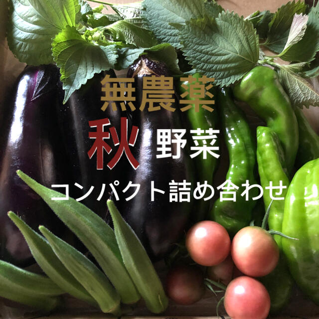 無農薬　秋野菜　コンパクト　詰め合わせ　採りたてセット 食品/飲料/酒の食品(野菜)の商品写真