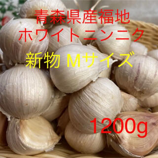 新物 青森県産福地ホワイトニンニク Mサイズ1200g (野菜)
