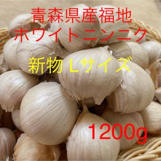 新物 青森県産福地ホワイトニンニク Lサイズ1200g (野菜)