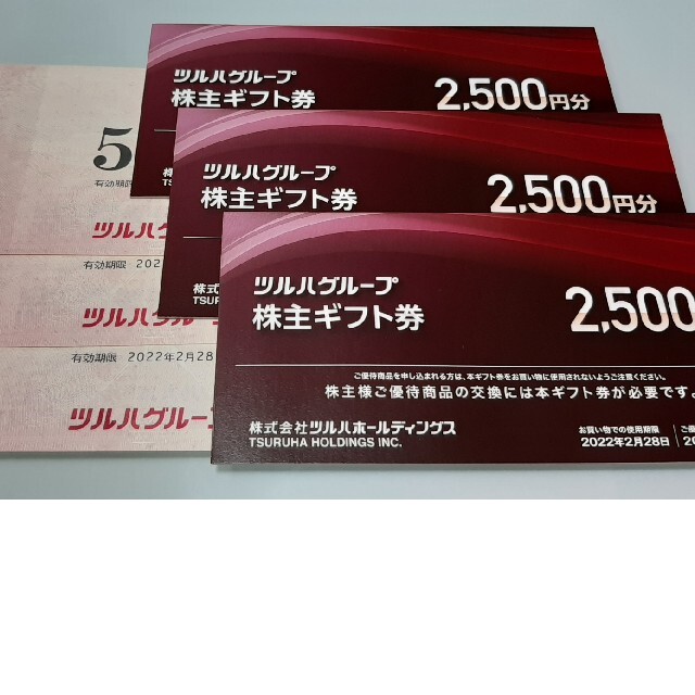 ツルハ 株主優待 9000円分