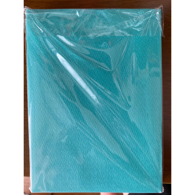 最終値下》 TIFFANY TIFFANY DIARY 無地 無地 - lecrazyeat.tw