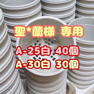 プラ鉢2.5号鉢【A-25】40個 他 スリット鉢 丸 プレステラ 多肉植物(プランター)