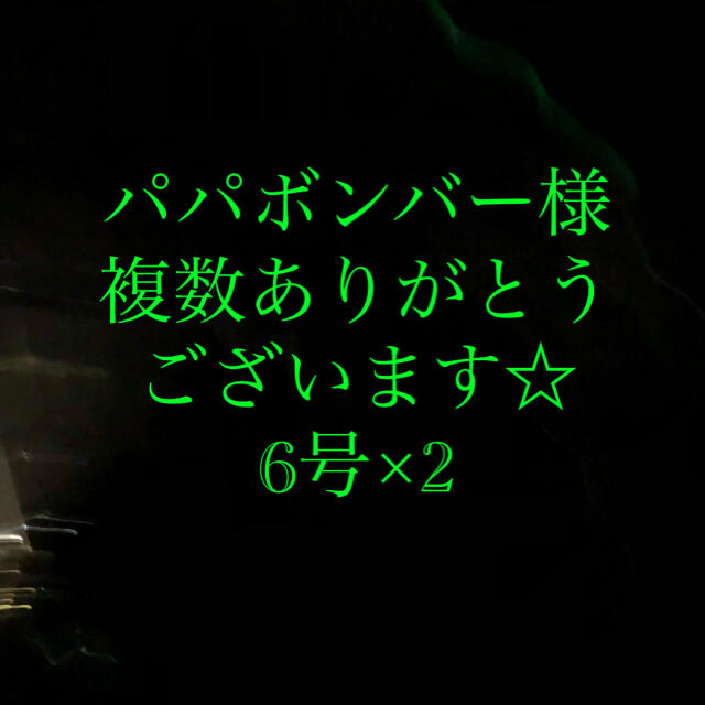 さびき 仕掛け針 2枚◉6号×2点 他より太く丈夫な糸 最安値 スポーツ/アウトドアのフィッシング(釣り糸/ライン)の商品写真